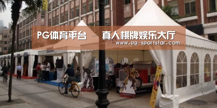 案例标题九