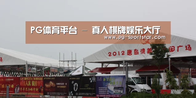 案例标题十
