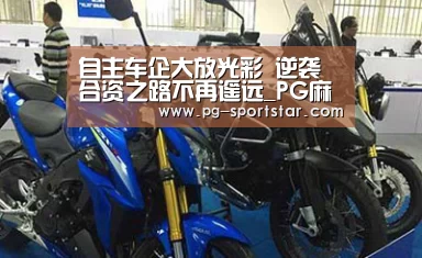 自主车企大放光彩 逆袭合资之路不再遥远_PG麻将
